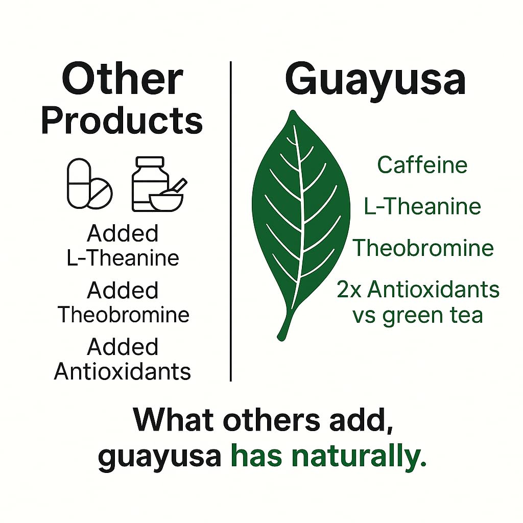 Guayusa Loose Leaf Tea by PACHA | 66mg Caffeine | Naturally High in Antioxidants, L-Theanine & Theobromine | Sustained Energy Herbal Tea (2 Pound (Pack of 1), Golden Guayusa)