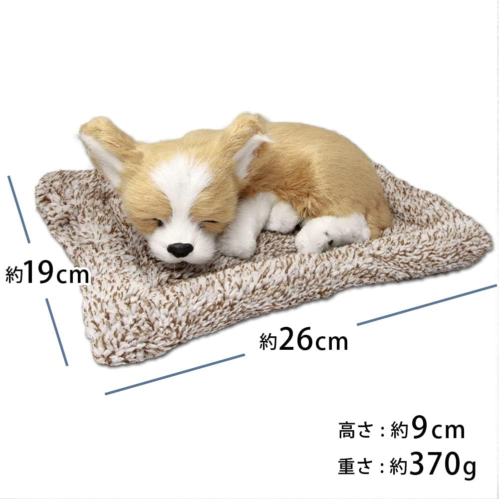 Amazon.co.jp: TATOTTE 犬のぬいぐるみ リアル 置物 寝顔が可愛い