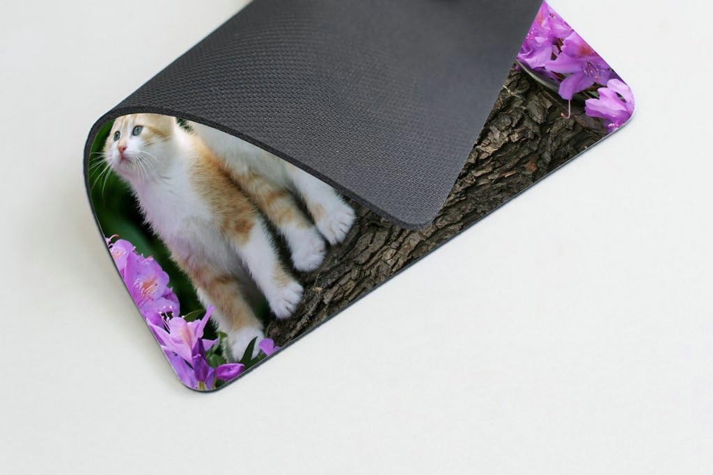 Smooffly Kitten Flower Cute Funny Group Cat Mouse Pad,Four Cute Cats On A Branch Personality Gaming Mouse Pad