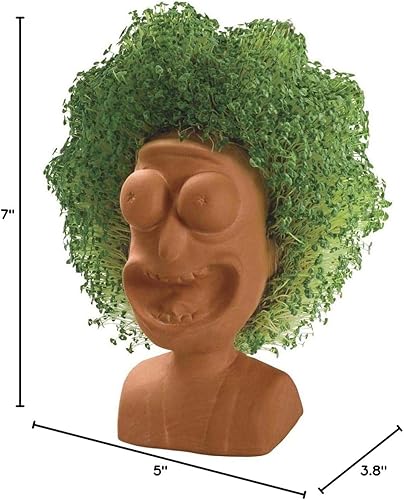 Miniatura 76 de Chia Pet Trolls, Poppy World Tour con paquete de semillas, maceta decorativa de cerámica, fácil de hacer y divertido de cultivar, regalo novedoso