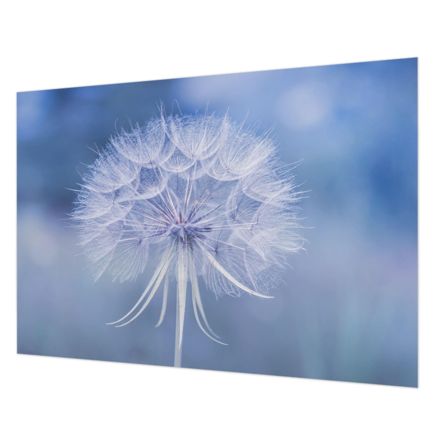 Revêtement intissé haut de gamme impression HD motif bleu
