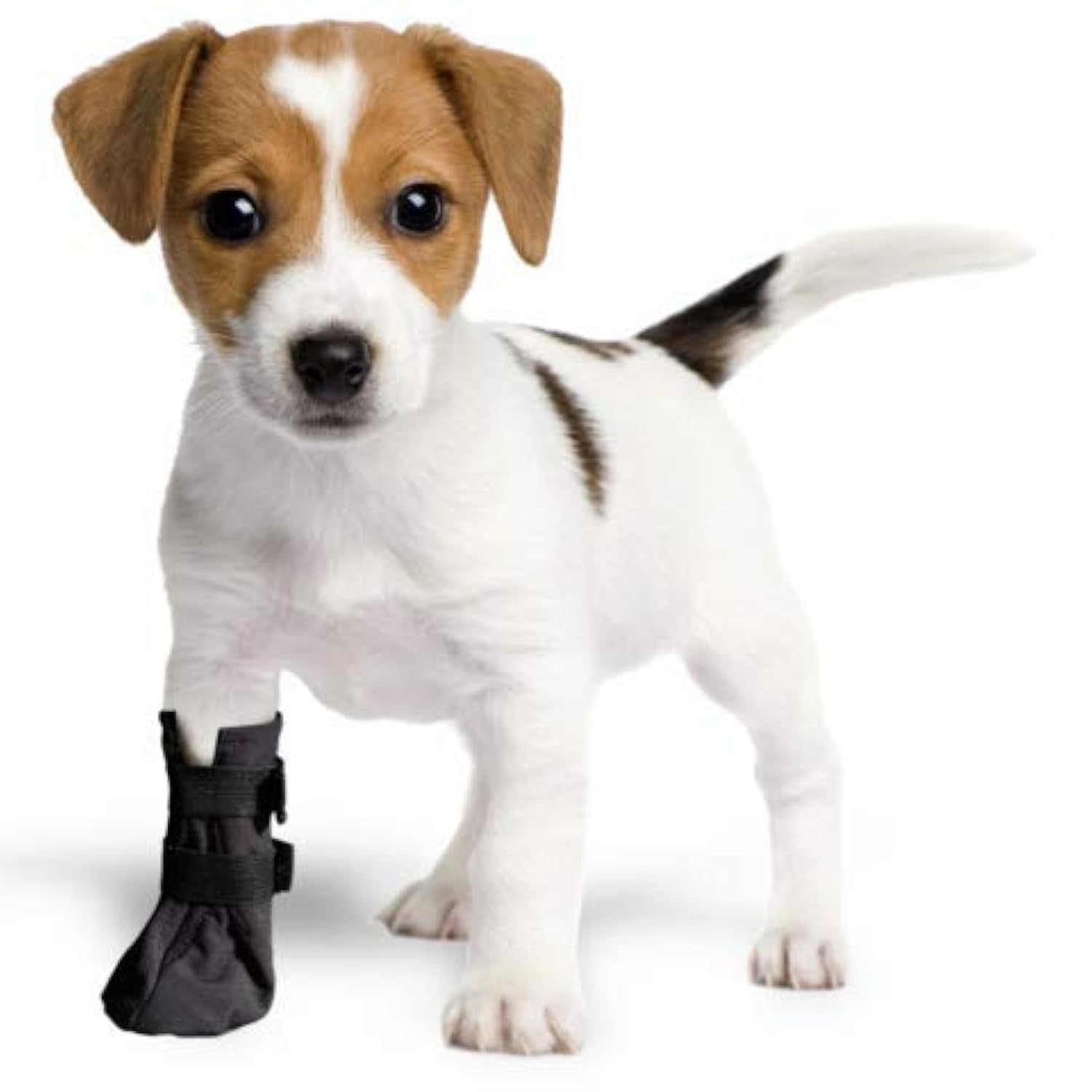 Wound Recovery Boot for Dogs. Protects and Heals Paw Softshell, Waterproof and Breathable Material. Recommended by Vets. (X-Large, Blue)