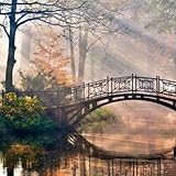 Past-Life Regression: Journey Through Time Into Healing
