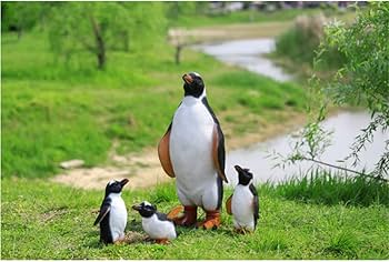 Amazon.co.jp: ガーデニング ペンギン 置物 Fmtop-JP ガーデン