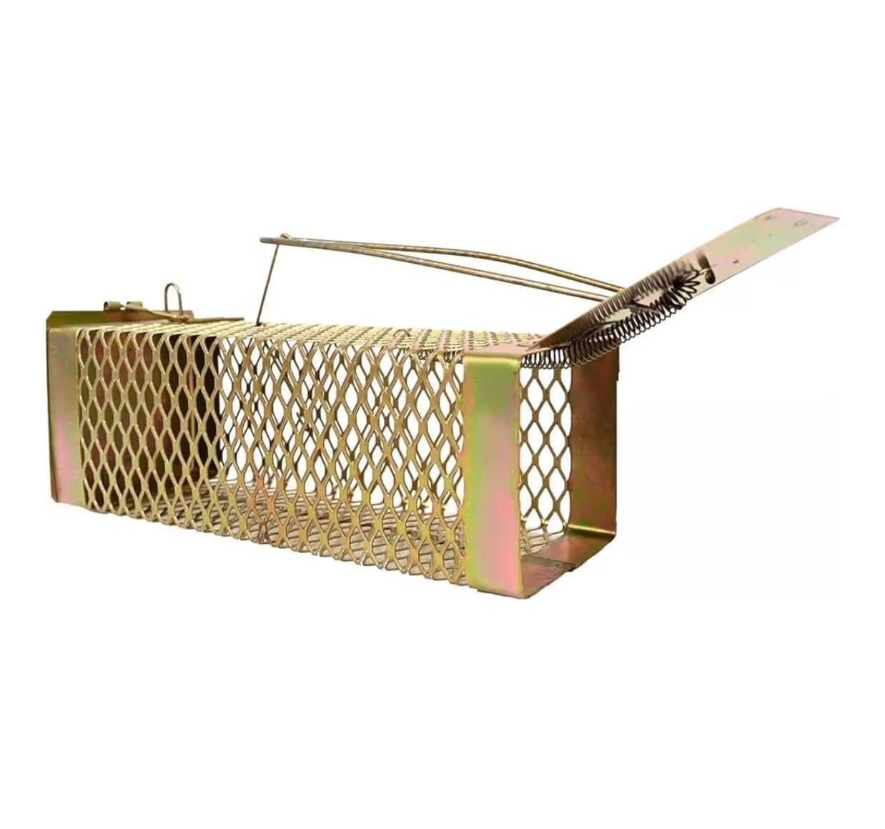 Heavy Duty Iron Rat Trap Cage | Reusable Live Catch Mouse & Rat Trap | Humane Wire Mesh Rodent Cage for Home, Kitchen, Warehouse & Garden (1 Piece)-image-43
