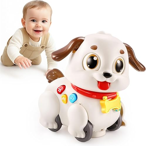 LUDILO Learning Toys for 1 Year Old Boy Girl Gifts: Pull Along Crawling Toy Musical Puppy 6 7 8 9 10 12 18 Month Old Baby Toy 1st Birthday Gifts for