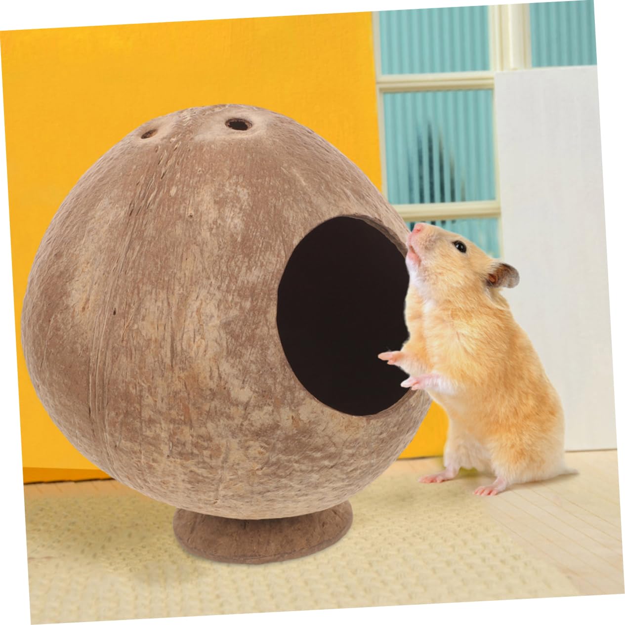 8stücke Hamster Kokosnuss-Haus Für Kleintiere Sichere Und Natürliche Versteckmöglichkeit Für Hamster Und Meerschweinchen Spielzeug Und Schlafplatz Und Langlebig