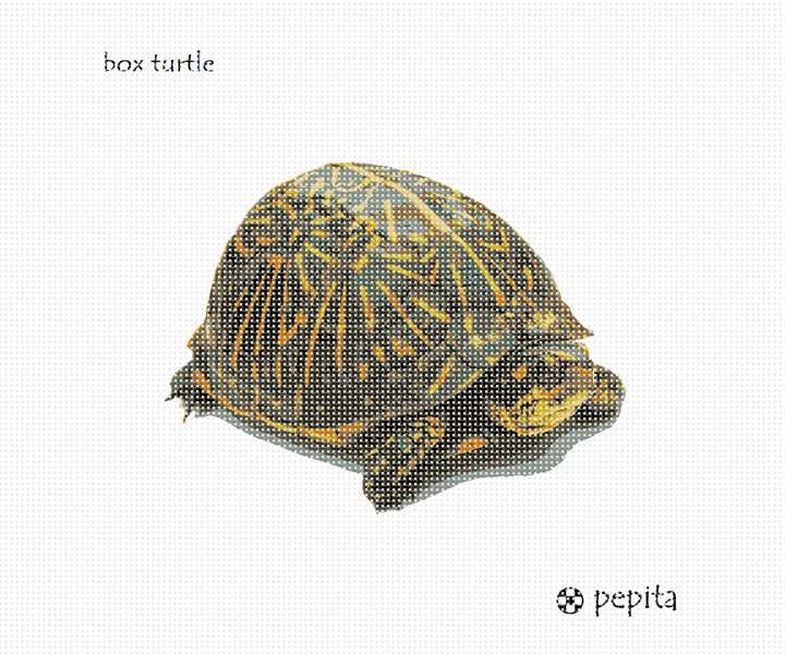 Pepita Needlepoint kit: Box Turtle, 9