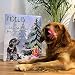 Fidelis - XL-Adventskalender für Hunde Hundebesitzer mit 50 gesunde Snacks