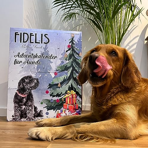 Fidelis - XL-Adventskalender für Hunde Hundebesitzer mit 50 gesunde Snacks
