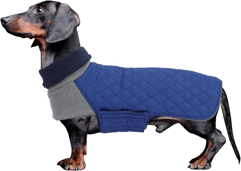 Casaco para Dachshund Impermeável e Corta-Vento com Forro de Fleece Geyecete Azul M