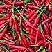 KEJORA Fresh Red Thai Chili Peppers - 0.5 Lb (8 oz)