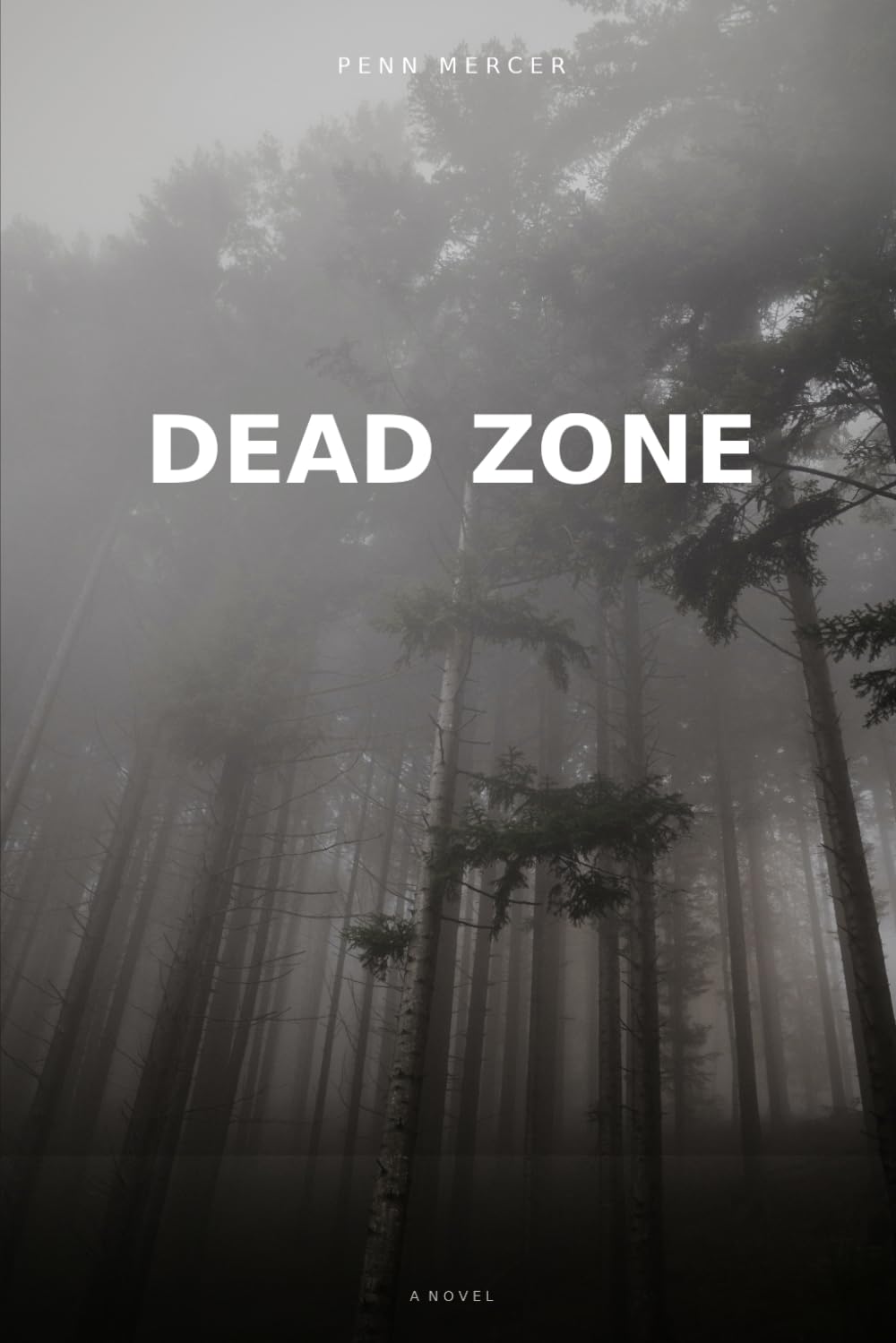 Dead Zone: A Novel