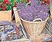 Springbok Basket of Lavender Jigsaw Puzzle, 1000-Piece by Springbok