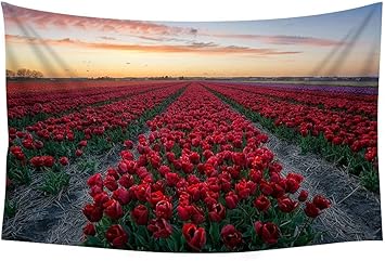 Amazon Co Jp 壁のタペストリー 風景タペストリー 赤いチューリップの花畑の夕暮れ 装飾壁掛けタペストリー 間仕切り おしゃれ インテリア 寝室 カーテン 部屋飾り 新築お祝い 結婚お祝い プレゼント 横0cm 縦150cm ホーム キッチン