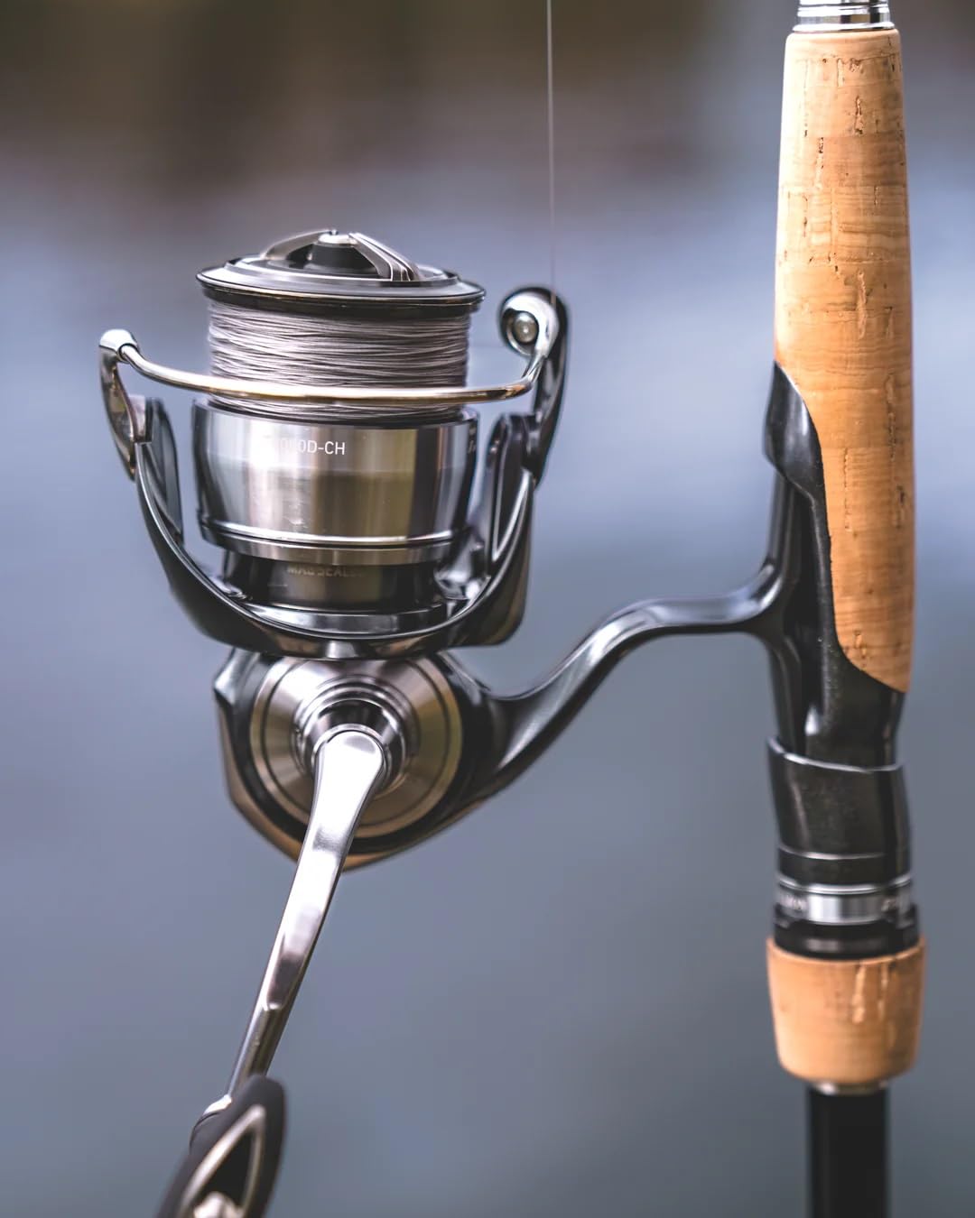 DAIWA CERTATE LT3000-CH リール Daiwa Certate LT Spinning Reel | FishUSA