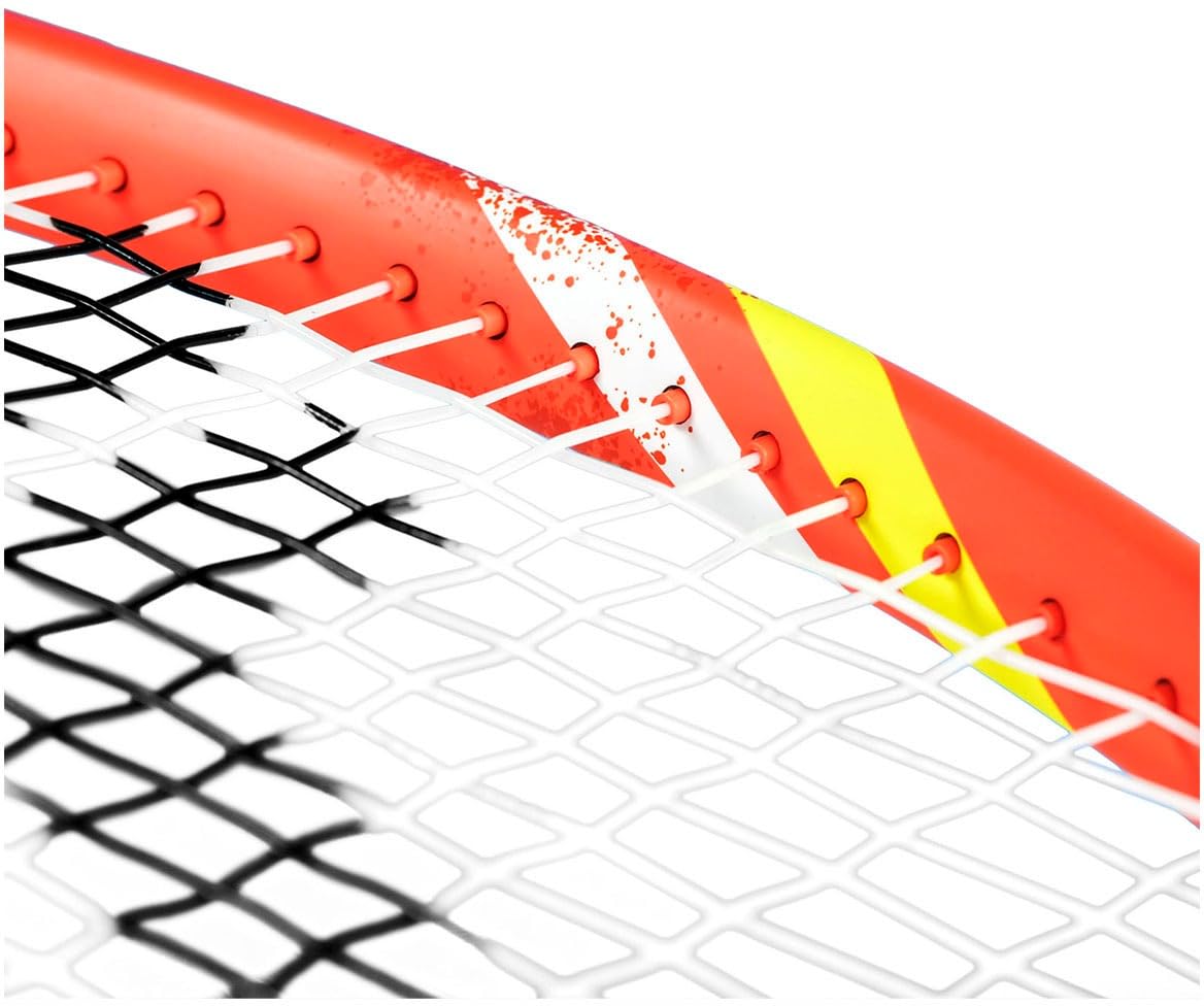 Amazon | テクニファイバー Tecnifibre テニスラケット TFIGHT 300S IG
