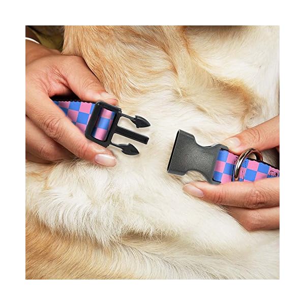 Buckle-Down PC-W30302-L Dog Collar Plastic Clip Buckle, Checker Baby Pink/Baby Blue, 1″ x 15-26″ Buckle-Down PC-W30302-L Dog Collar Plastic Clip Buckle, Checker Baby Pink/Baby Blue, 1″ x 15-26″
