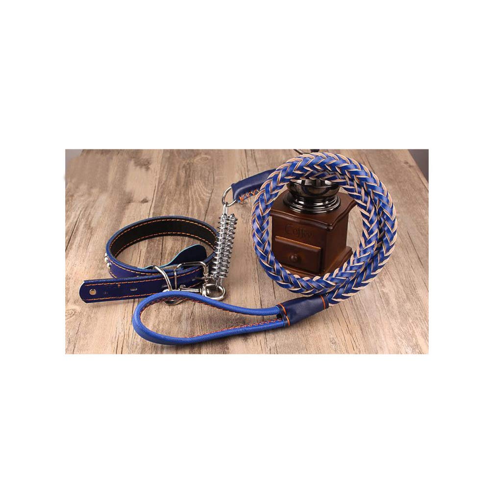 REYG Corde De Laisse pour Animaux De Compagnie à Main,Blue