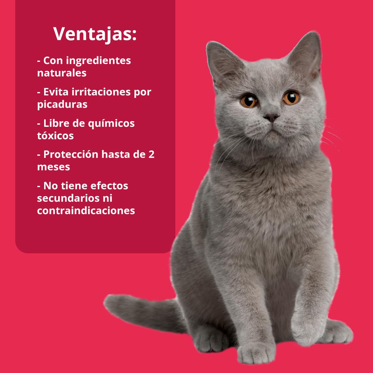 NEO CATS - Pipetas Repelente Anti-insectos para Gatos - Contra Pulgas, Garrapatas y Mosquitos - 30 días de Protección - Con Margosa, Geraniol y Lavandino - Olor Herbal - 2 unidades