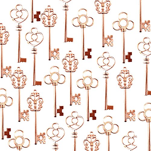 Makhry Paquete Mixto de 30 Llaves Maestras de Esqueleto en Oro Rosa Paquete de 30 Llaves(Oro Rosa) Cover