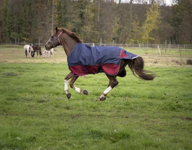 Foto 4 de 5 de Reitsport Amesbichler Tyrex - Manta para caballo, 1200 denier, forro interior de nailon, impermeable…