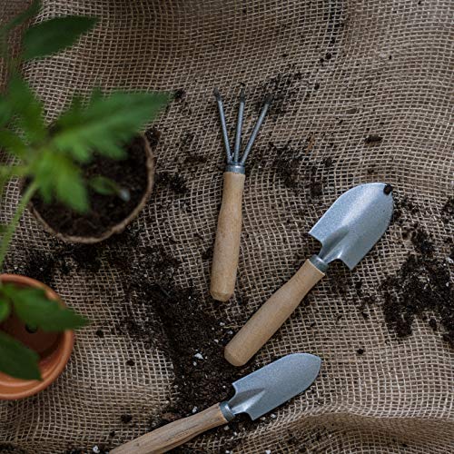 Chang'e – Pacote com 100 Potes de turfa biodegradáveis de 7,62 cm para plantas, iniciador de sement