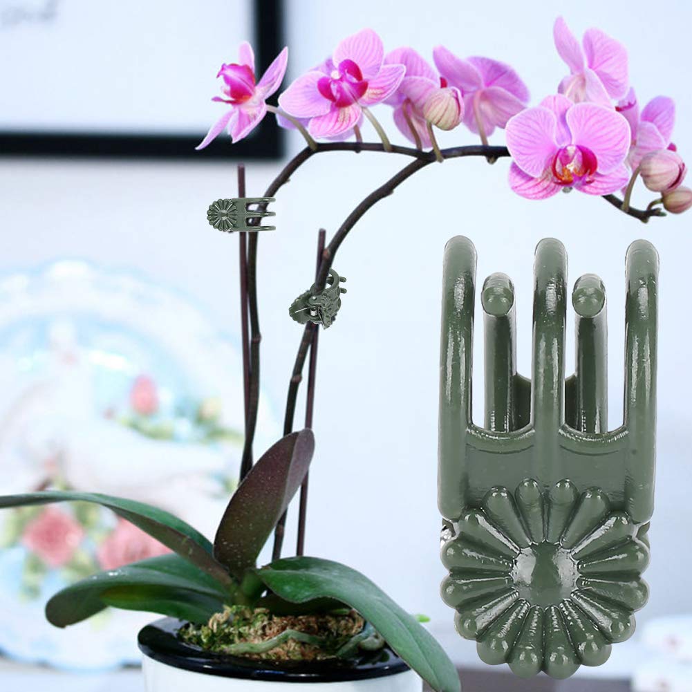 100 Pezzi Clip Per Orchidee In Plastica Trasparente – Supporto Per Steli Di Piante Rampicanti, Riutilizzabili, Misura 3,5x3,5 Cm