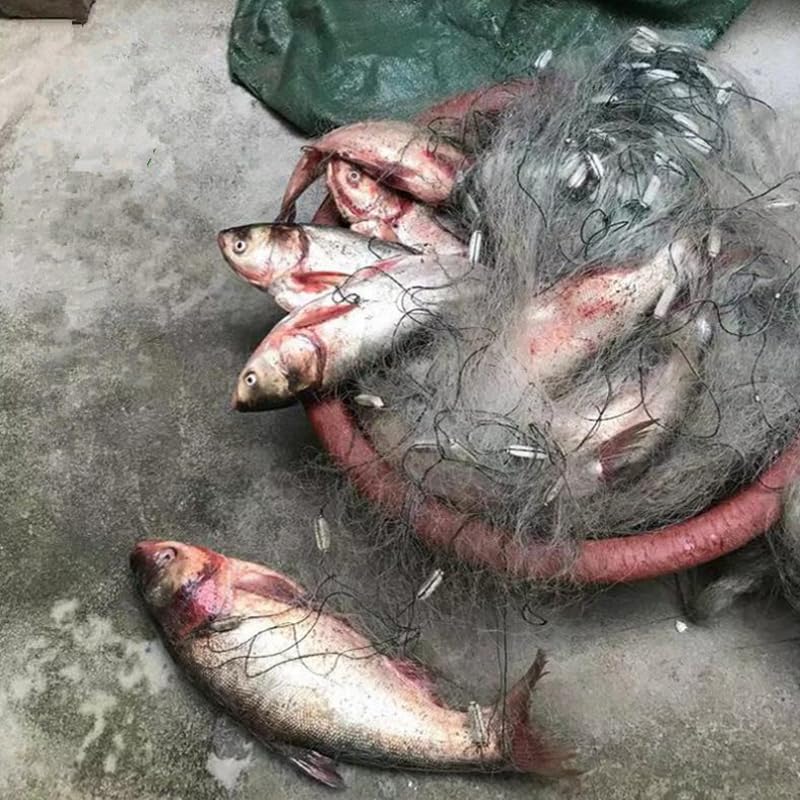 Rete Di Branchie Nylon Fishing Net 3 strati Gillnet con strumento di pesca a trappola for pesce fluviale galleggiante 2 metri di alto livello 100 metri di lunghezza Rete Da Pesca Galleggiante (Color