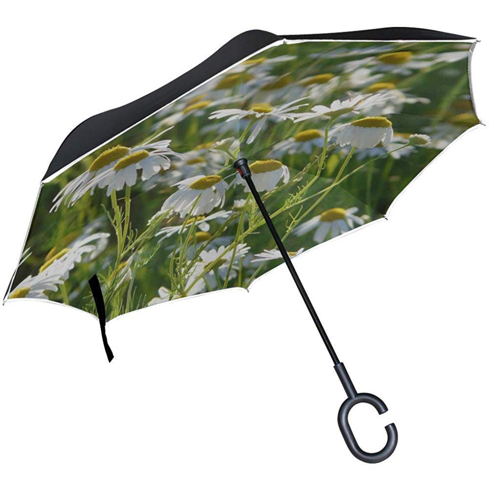 Alice Eva Inverted Umbrella Genuine Chamomile Matricaria Chamomilla Chamomile Umbrellas Reverse Folding Umbrella Big Straight Umbrella