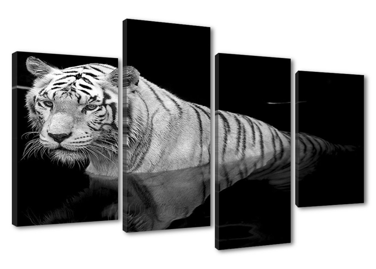 bestpricepictures 130 x 80 cm Cuadro en Lienzo Tigre 6176-SCT – Imagen/Impresion/Pintura Listo para Colgar