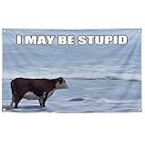 Generic I May Be Stupid Funny Tapestry Banner 3x5 Feet Flag Multicolor Humor Decor Indoor and Outdoor