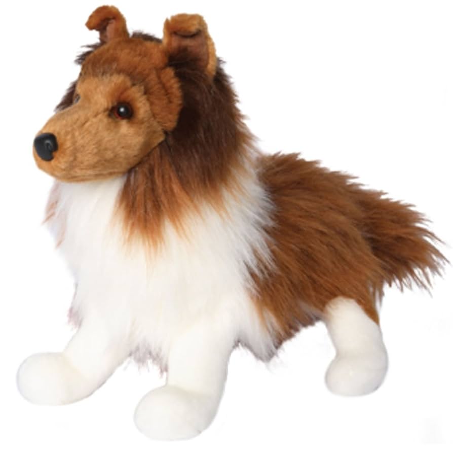 特撮 Shetland Sheepdog (Pet love) Meet the Shetland Sheepdog: Your Smart and Loyal Furry