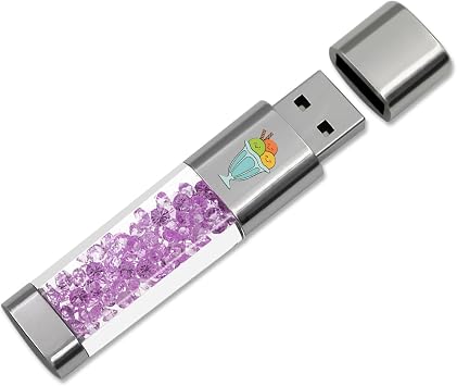 USB Flash Drive 64GB, Techkey External Memory Photo Keeper Storage Stick for Picture/Video/Data Saver/Backup V2.03 High Speed Thumb/Jump/Hard Drives-Raisin