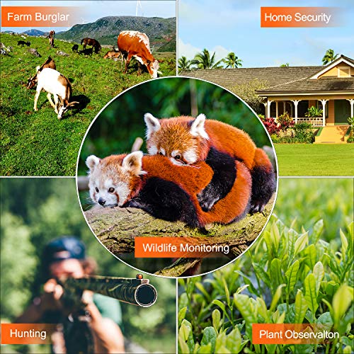 Product Image 6: WiMiUS H7 Trail Camera【Upgraded】 16MP 1080P HD Hunting Game Trail Cam with Infrared Night Vision Waterproof Motion Activated, 120° Detecting Range for Wildlife Monitoring