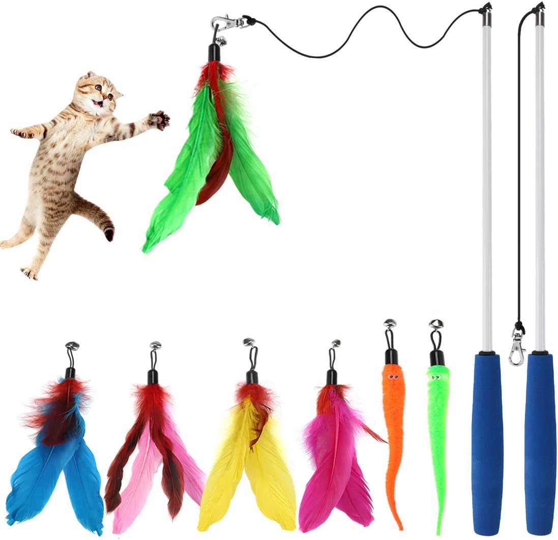 cat fishing pole toy