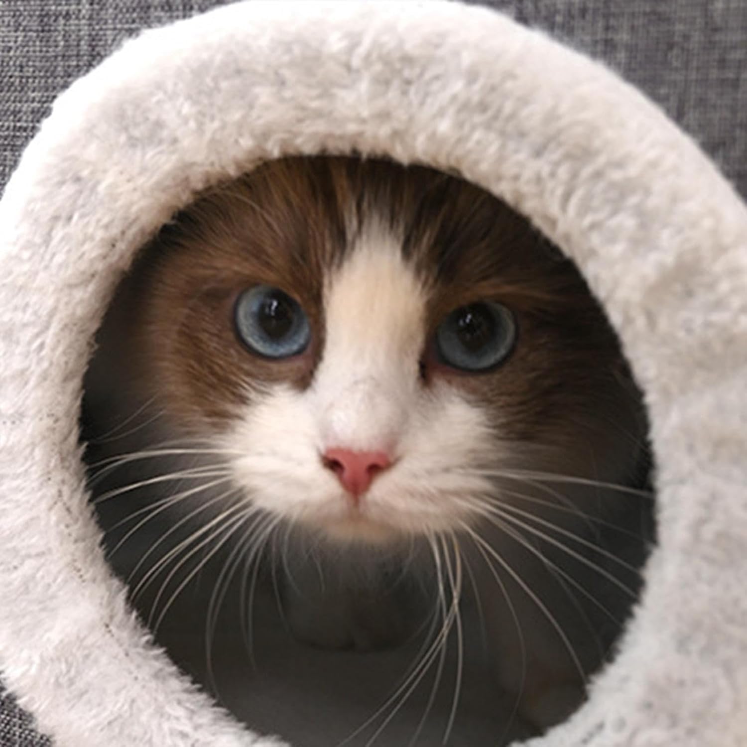 Large Cat House for Indoor Cats, Cat Cave Bed for Large Pet Cat, Foldable Cat Hideaway with Scratch Pad, Covered Cat Bed