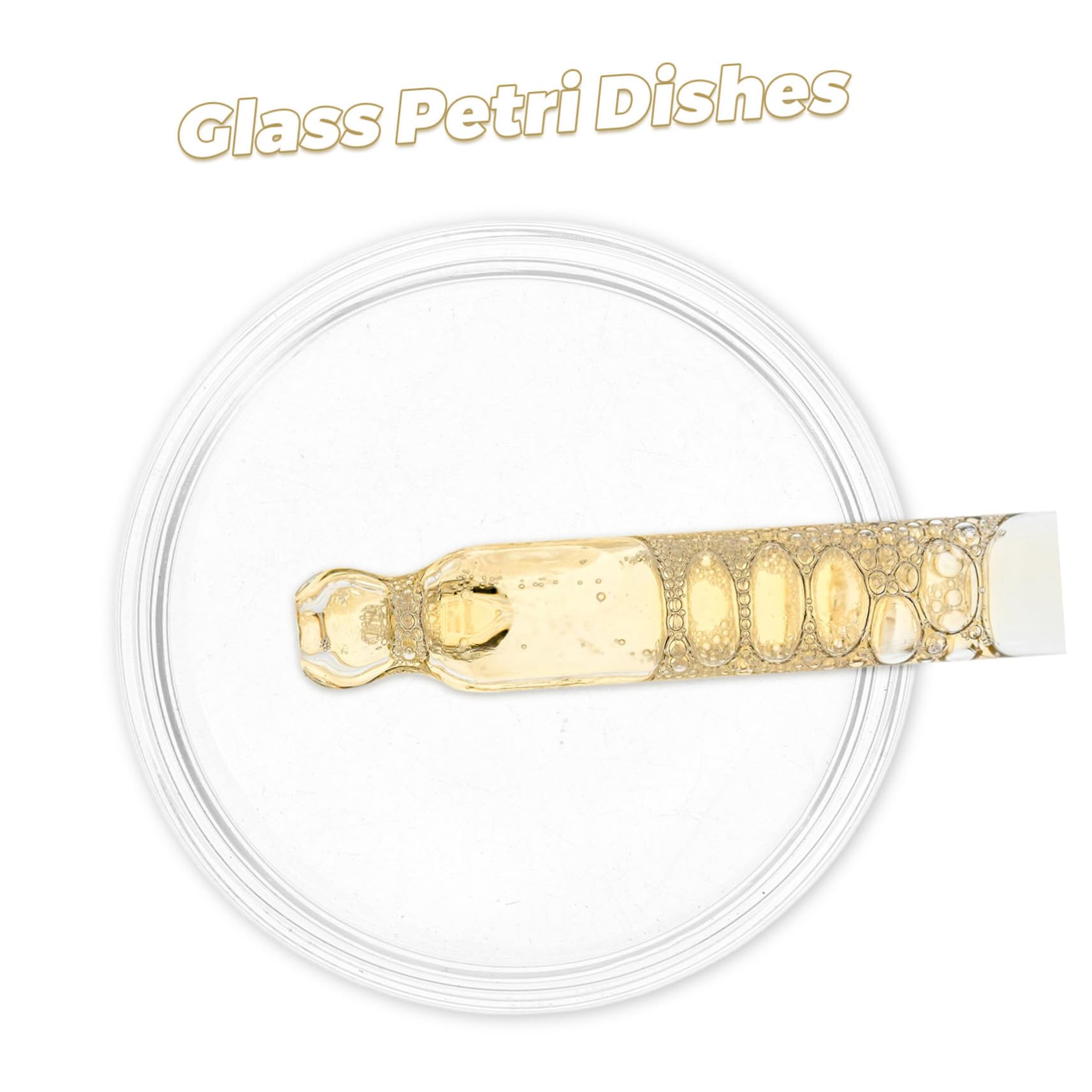 SHINEOFI 10stücke Petrischalen mit Deckel aus Glas für Labor und Mikrobiologische Anwendungen Sterile Nähragar-platten für Experimente und Kultivierung