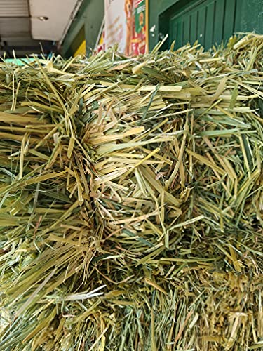 Cremas Y Lociones, Video On Demand Imagen adicional