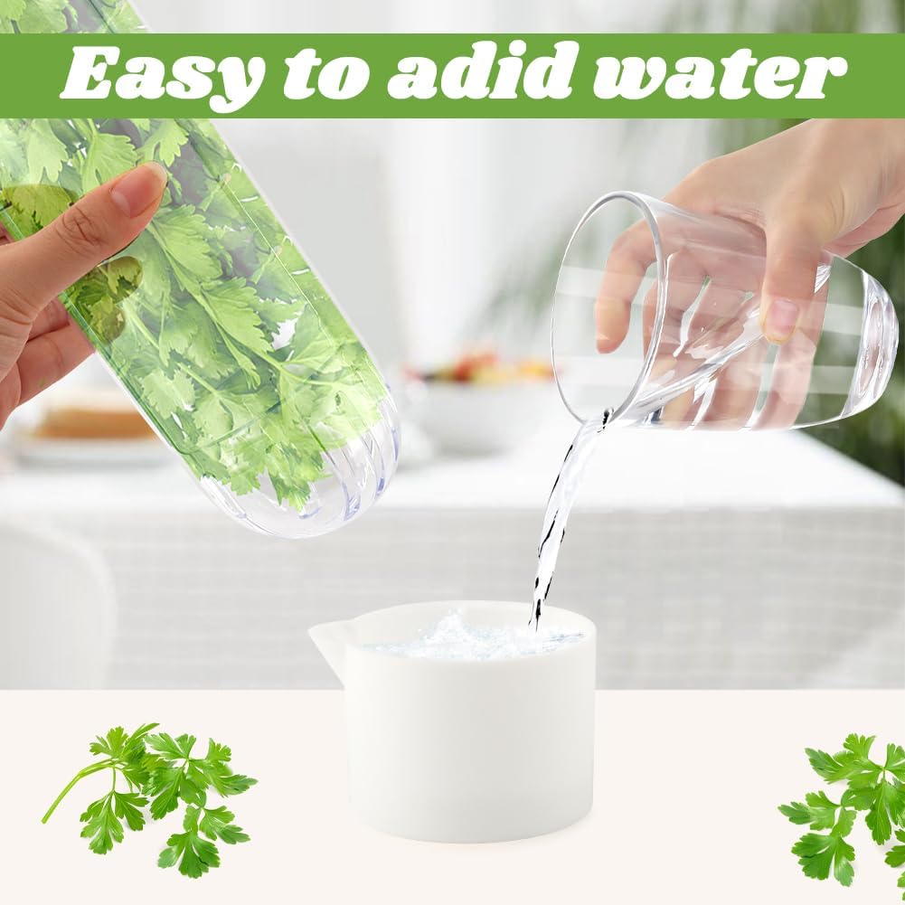 Fresh Herb Saver Cilantro Storage Containers for Refrigerator, Transparent Herbs Saver fits Fridge Asparagus Parsley Mint Leaves, Keeps Greens Vegetables for 2-3 Weeks(SIZE:1 pc)