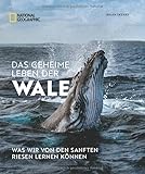 Bildband: Das geheime Leben der Wale. Was wir von den sanften Riesen lernen können. Mit Fotos von preisgekrönten National Geographic Fotografen.: Was wir von den sanften Riesen lernen können
