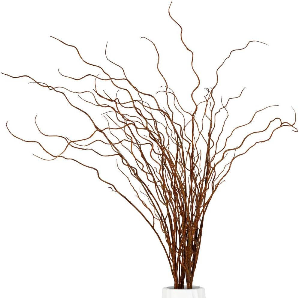 Artificial Plants Faux Greenery Eucalyptus Stems,Faux Branches for Vase Filler,Artificial Ficus Twig Branches Stems for Shop Garden Office Home Décor (6, Stems02)