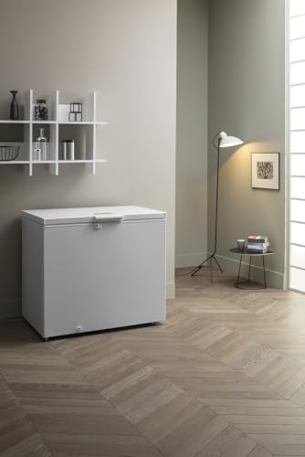 Foto von Bauknecht GTE 608 FA Gefriertruhe / 390 L / Frost-Away und Space-Max/ Door Balance/ Kindersicherung, Weiss