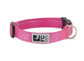 RC Pet Products 1 Inch Primary Collection Adjustable Dog Collar, Large, Raspberry