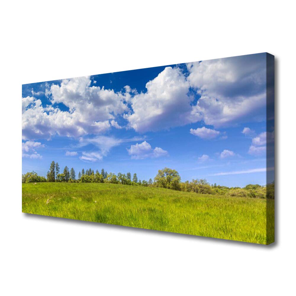Impression sur Toile 100x50cm de Meadow Paysage Herbe pour Déco Murale Moderne