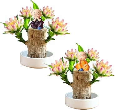 Brazilian Lucky Wood Plant Kit, Lucky Wood Doesnt Need to Wait to Sprout, Suitable for Home Office Desk Decor, Natural Air Cleaner 2E