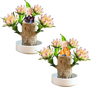 Brazilian Lucky Wood Plant Kit, Lucky Wood Doesn't Need to Wait to Sprout, Suitable for Home Office Desk Decor, Natural Air Cleaner (2E)