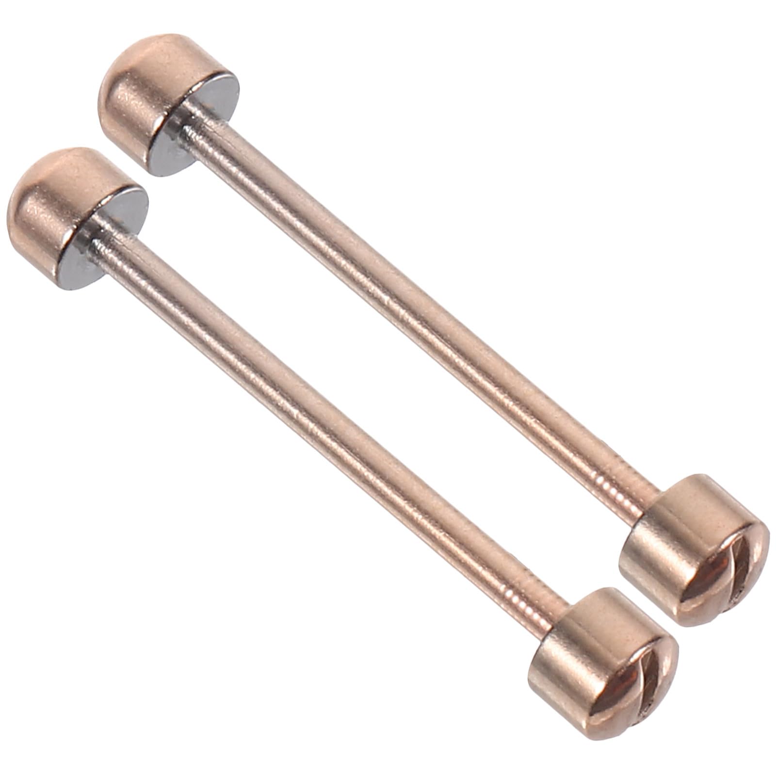 Cabilock Tige de Vis Facile à Installer Bracelet de Montre pour Acier Inoxydable Argenté Maintient la Boucle Connectée, Outil pour Horlogers et Bijoutiers