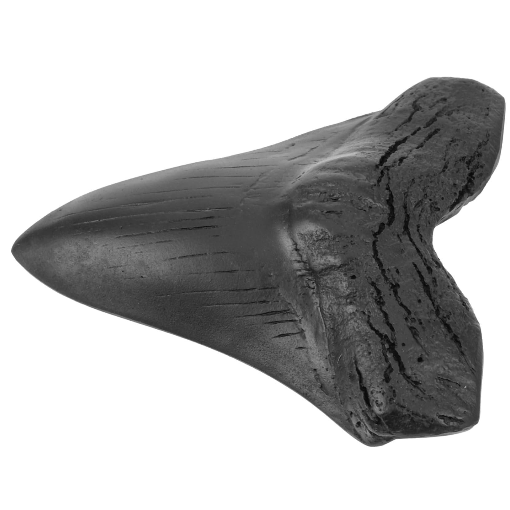 Figura Realista de Dientes de Tiburón Megalodón en Resina Negra para Colección y Obsequio Decorativo Único