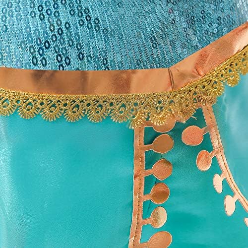 Hamanasu Jasmine Princess Costume for Girls Princess Fancy Dress up Birthday Party Role Play Outfit(Hair Wig,3-4Y/110)